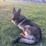 Kelley Workman - @kelley.workman.735 - Instagram