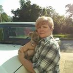 Kelley Wright - @dkelleywright1962 - Instagram
