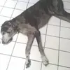 Kelley Wright - @kelley.wright8 - TikTok