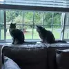 Kelli Armstrong - @kelli.armstrong - TikTok