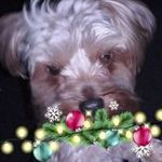 Kelli Barton - @kelli.barton.503 - Instagram