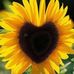 Kelli Bowden - Facebook