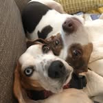 Kelli Calhoun - @kellical - Instagram