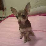 Kelli Cantrell - @kelli.cantrell.37 - Instagram