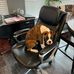 Kellie Caudill - Facebook