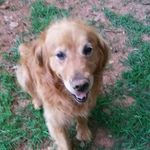Kelly Caudill - @caudill4507 - Instagram