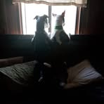 Kelli Coffey - Facebook