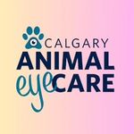 Kelli Combs Ramey, DVM, DACVO - @calgaryanimaleyecare - Instagram