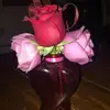 Kelly Connors - @kellyconnors3 - TikTok