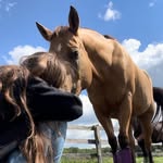 Kelli Coughlin - @coughlin_kelli - Instagram