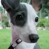 kellicovington818 - @kellicovington818 - TikTok