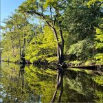 Kelly Dillard Covington - @kcovington62 - Instagram