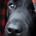 Kelly Crocker - @eclecticwhimsy69 - Instagram