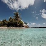 kelly crocker - @_kellysea - Instagram