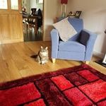 kelly crocker - @crocker.kelly - Instagram