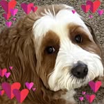 Kelly Daugherty - @kelly.daugherty.376 - Instagram