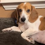 Kelli Denney Cleaver - @klcleaver8 - Instagram