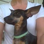 Kelly Eckert - @honiweiss - Instagram