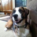 Kelli Flanagan - @rxchemist13 - Instagram
