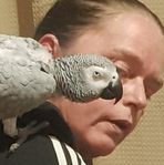 Kellie Fulton - Facebook