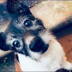 Kelly Giles - @kellygiles79 - Instagram