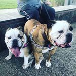 Kelly Greer Greenway - @kelly_greer_greenway - Instagram