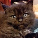 Kelli Guthrie - @kelli.guthrie.961 - Instagram