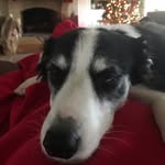 Kelly Hatch - @kelly_hatch - Instagram