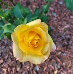 Kelley Henning - Facebook