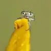 Kelli Henning - @kellihenning - TikTok