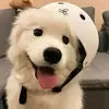 Kelli Hennings - @kellihennings_7801 - TikTok