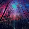 kellihenningsen - @kellihenningsen - TikTok