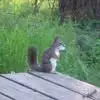kellihensley7 - @kelli.hensley - TikTok