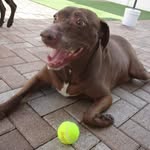 Kelli Hicks - @monkeybearmama_ - Instagram