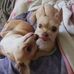 Kelli Williams-Hicks - Facebook
