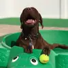 kellihicks73 - @kellihicks73 - TikTok