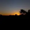 kelli - @kellihoffmann42 - TikTok