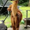 Kelli Michell Holt - @kellimichellholt - TikTok