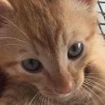 Kelli Hubbard Roy - @lilbugs02 - Instagram