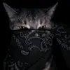 KelliKemp - @kellikemphhbyzxro - TikTok
