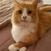 Kelli Kidd - @kellikidd - TikTok