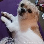 Kelli Lacy - @hellokittyfan45691 - Instagram
