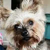kellilwow - @kellilaughlin7 - TikTok