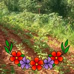 Kelly Link - Facebook