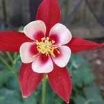 Kelly Loftus - @loftuskelly - Instagram