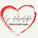 Kelly Logan - @soadoodable - Instagram