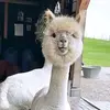 Kelli Mann - @kellimann41 - TikTok