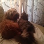 Kelly Mansfield - @mansfield8652 - Instagram
