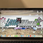Kelly Marino - @little_blue_455 - Instagram