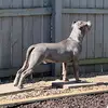 Kelli Mason - @kellimason0816 - TikTok